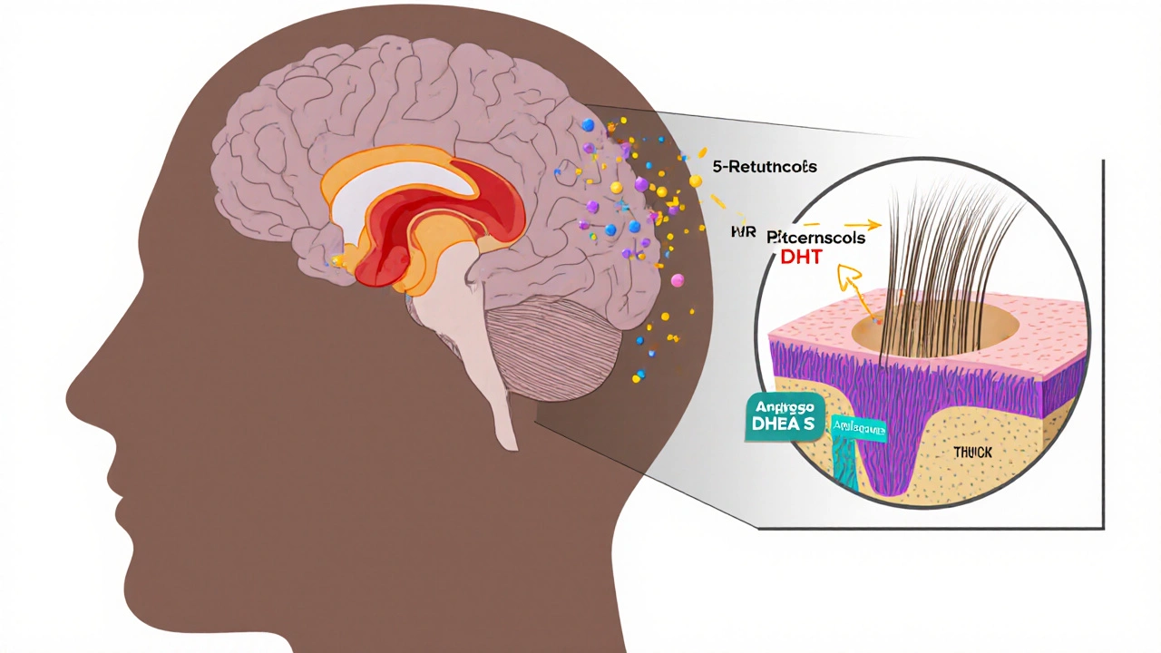 Clinical Evidence: What the Studies Say