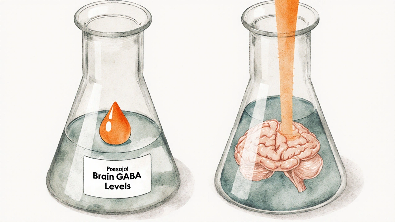 Two beakers showing minimal GABA impact vs strong sedative effect on brain