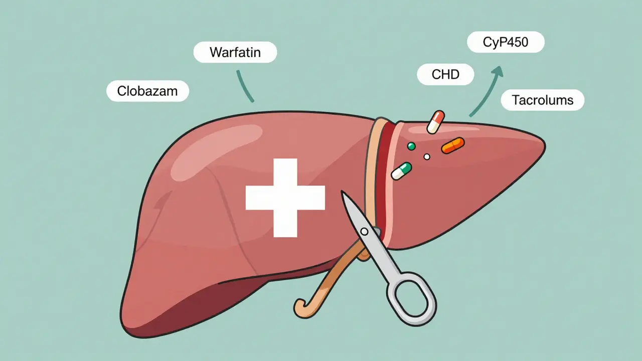 Cannabis and Medications: What You Need to Know About Drug Interactions