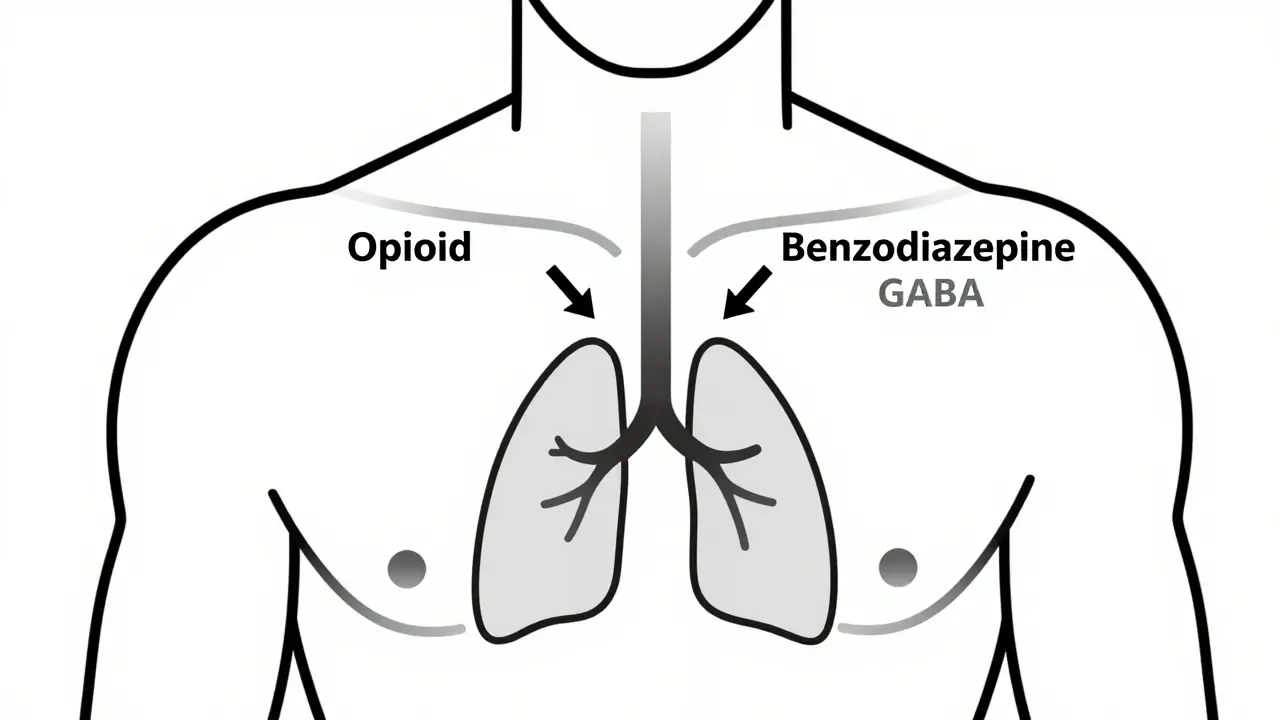 Opioids and Benzodiazepines: How Their Interaction Can Stop Your Breathing