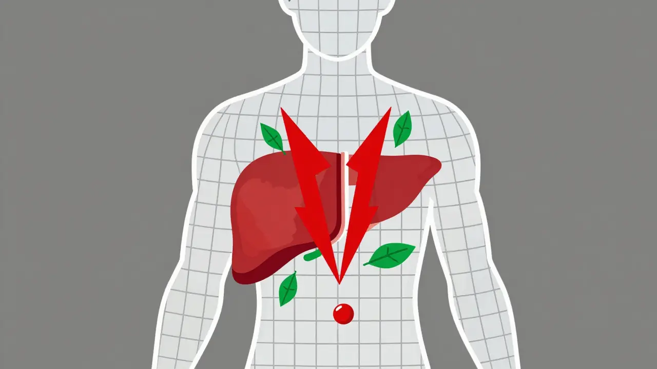 Abstract human silhouette with warning symbols inside showing health risks